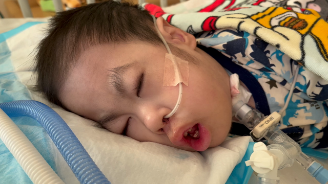 生きようよの記事動画