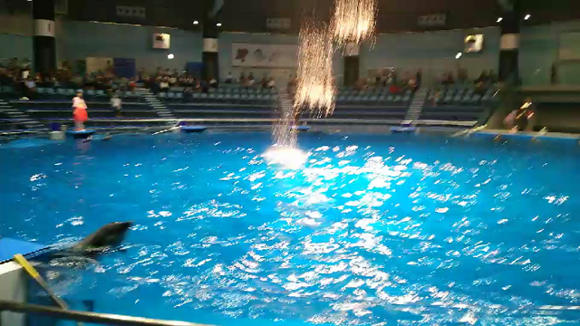 アクアパークと秋の北信州 プチトリップ気分の記事動画