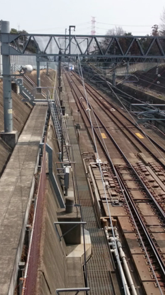 新幹線かがやきを見に！の記事動画