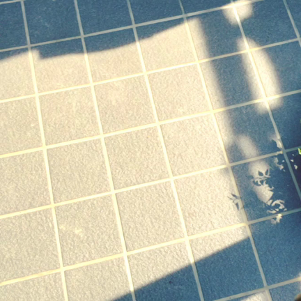 人はなぜ帰りたいと思うのかの記事動画