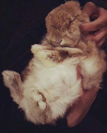 無防備の記事動画