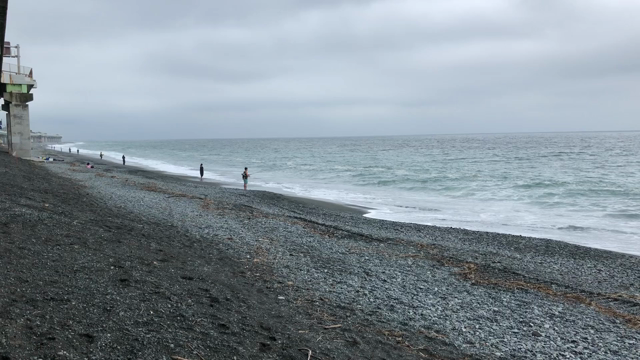 一カ月ぶり国府津海岸へ朝練の記事動画
