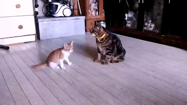 思い出の記事動画