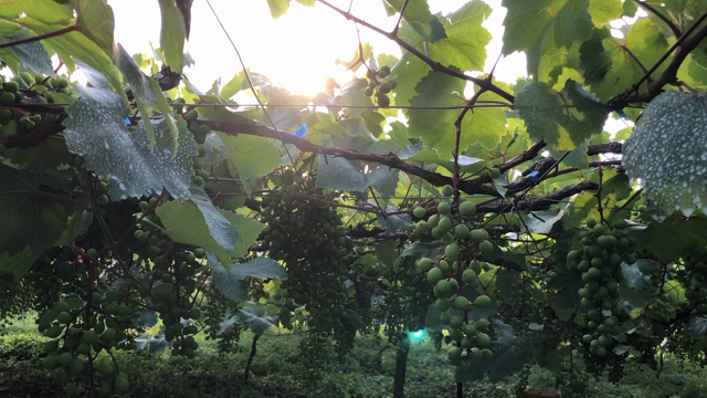 今日もお疲れ様でした。の記事動画