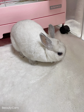 退院の朝の記事動画