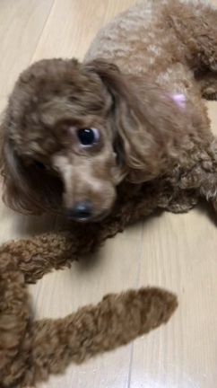 寒がり？の記事動画