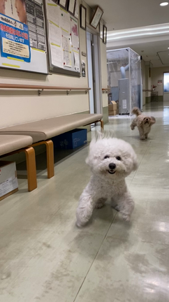 綺麗さっぱりの記事動画