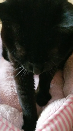 ﾌﾐﾌﾐの記事動画