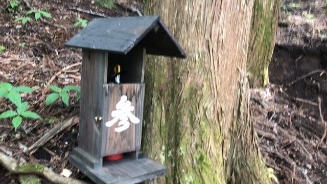 裏水之元単独野営場〜消化器設置完了〜の記事動画