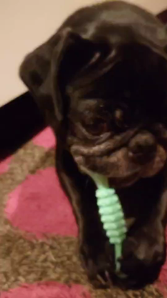 【3歳❣️】の記事動画