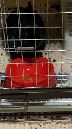 ヒュルリラ～2023の記事動画