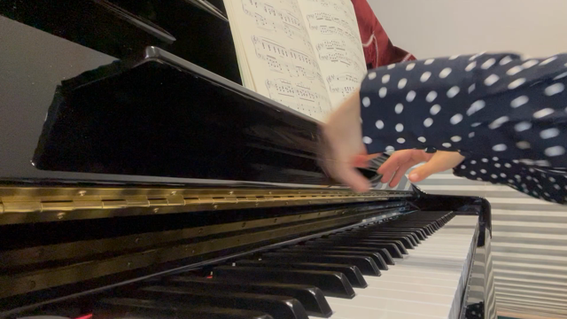 ポロネーズ5番の記事動画