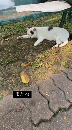 ルンピニ州立公園に行ってきましたの記事動画