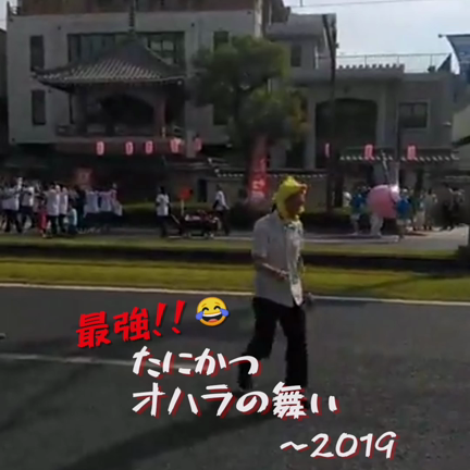 たにかつのオハラ祭の記事動画