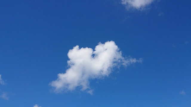 近所なので！！！の記事動画