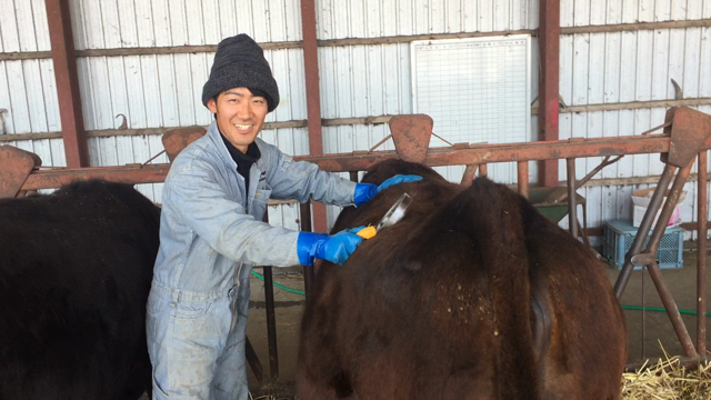親牛磨きの記事動画
