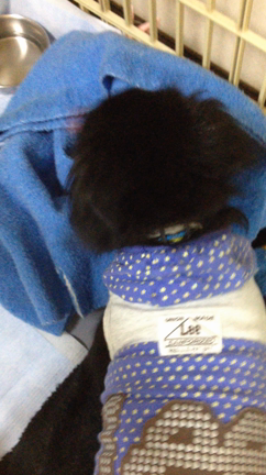 もうごねんの記事動画