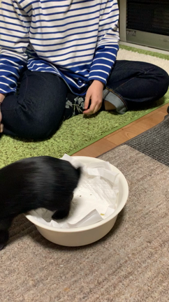 自転車購入を軽くみていた午後のヌシの記事動画