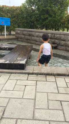 水遊び♪の記事動画