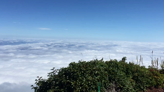 日本最北の山利尻富士の記事動画