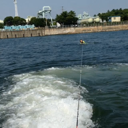 水曜日からの記事動画