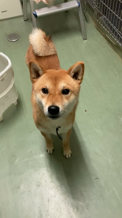 みんな元気ですの記事動画