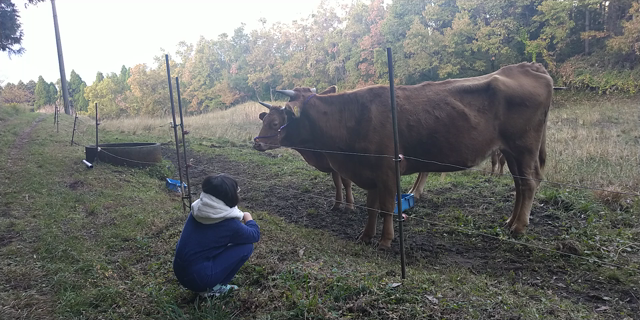 cheeseさんと南阿蘇の旅③の記事動画