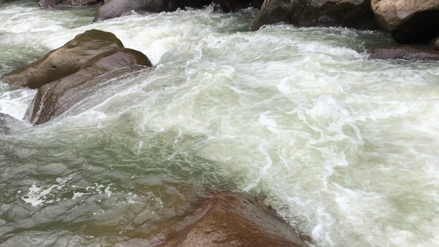 先ばかり見て、今はどこへ？の記事動画