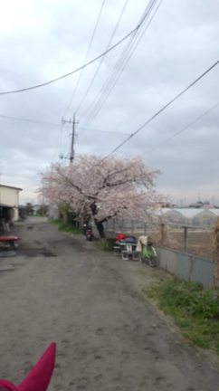 助けられなかった……の記事動画