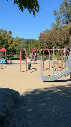 衝撃現場を目撃の記事動画