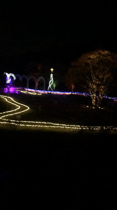 るり渓のイルミネーション♡byゆきえの記事動画