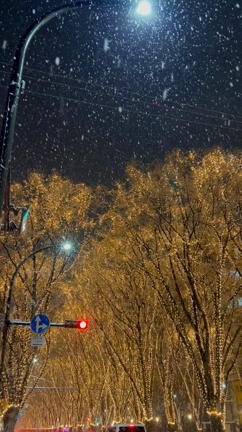 Merry Xmasの記事動画