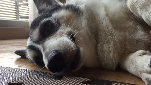 またざんの記事動画