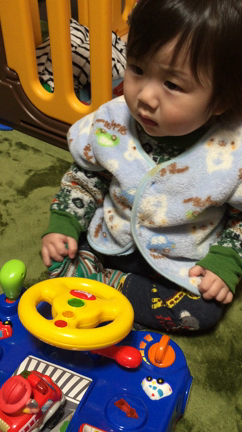 ソデイカ美味いの記事動画