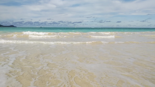 2019★あけましておめでとうございます。の記事動画