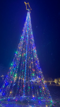 イルミネーションの記事動画