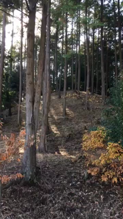 笠間芸術の森で遊ぼう♫の記事動画