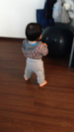 1歳半の記事動画