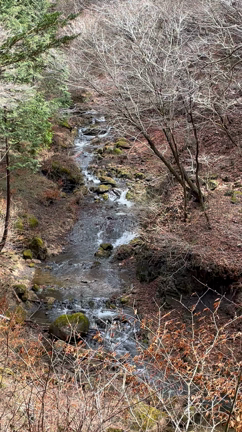 関東屈指のパワースポットの記事動画