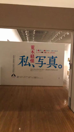 定休日にの記事動画