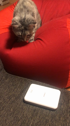 CanonのミニプリンターiNSPiCの記事動画