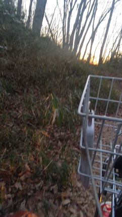 (動画) 林道ツーリング エイプ ハンターカブ　レプリカ　副変速機の記事動画