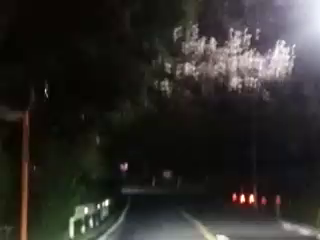 横浜は花満開中の記事動画