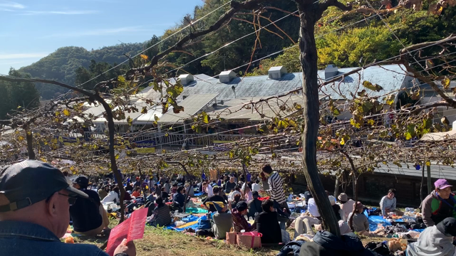 明日はボジョレーヌーヴォー解禁日です！の記事動画