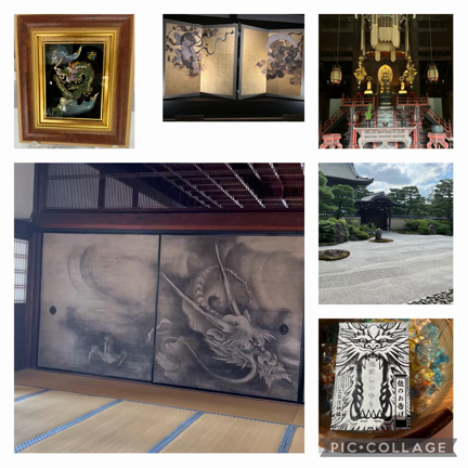 龍のお導きの記事動画