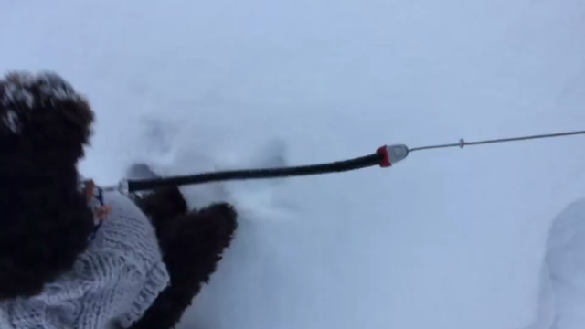 朝んぽ♪の記事動画