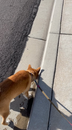 虫歯治療 1回目の記事動画