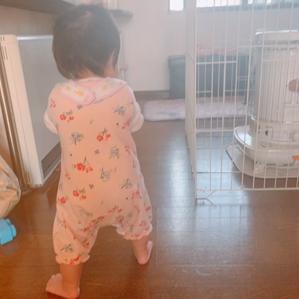 階段登っちゃったー！の記事動画