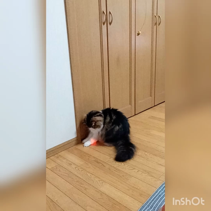 走らせよう!の記事動画