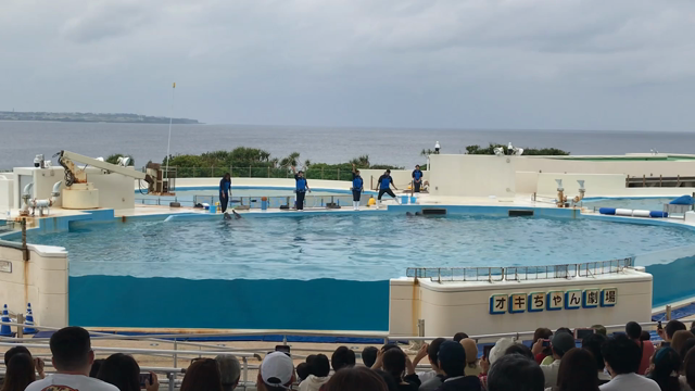 ちょっと沖縄まで②の記事動画